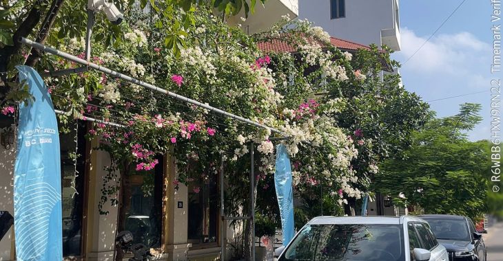 Tổng Kết Lái Thử OMODA & JAECOO Tại Việt Yên 17/10/2026